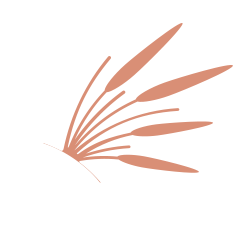 Logo Aurore Roussel